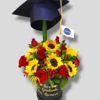 Box "Graduación"