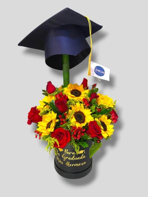 Box "Graduación"