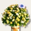 Box amarillo de claveles "Dave"