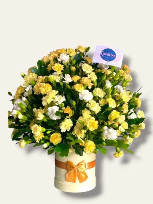 Box amarillo de claveles "Dave"