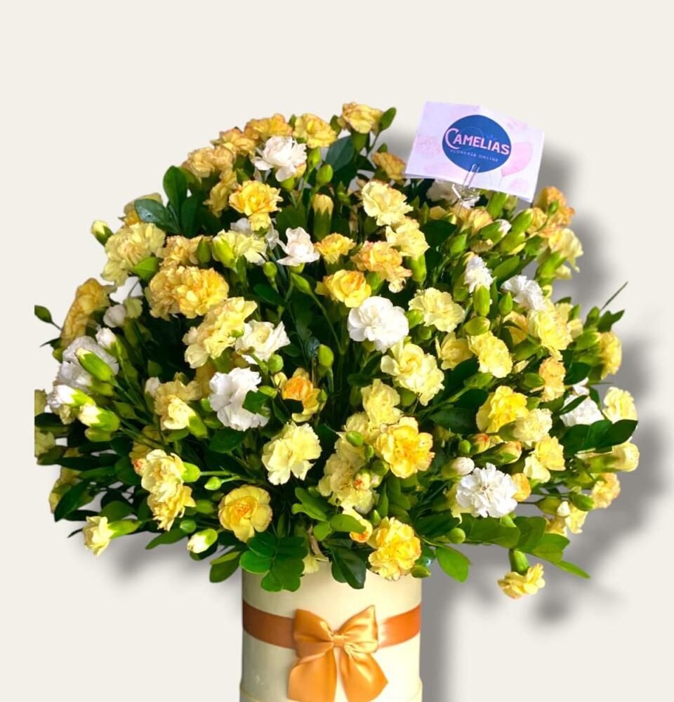 Box amarillo de claveles "Dave"
