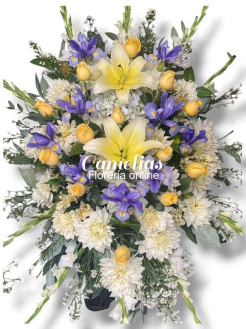Manto fúnebre para ataúd
