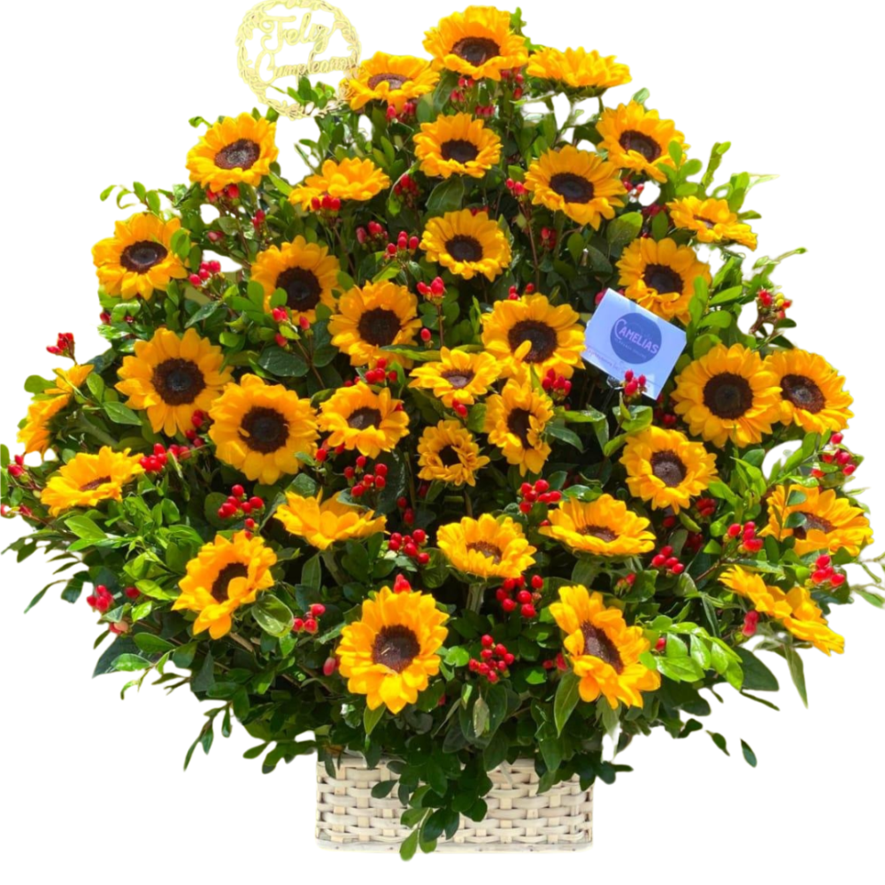 Canasta de girasoles de vivero