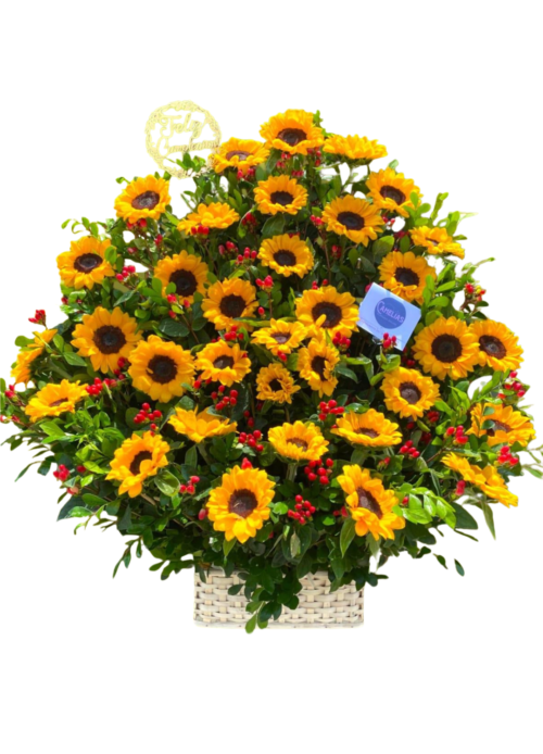 Canasta de girasoles de vivero