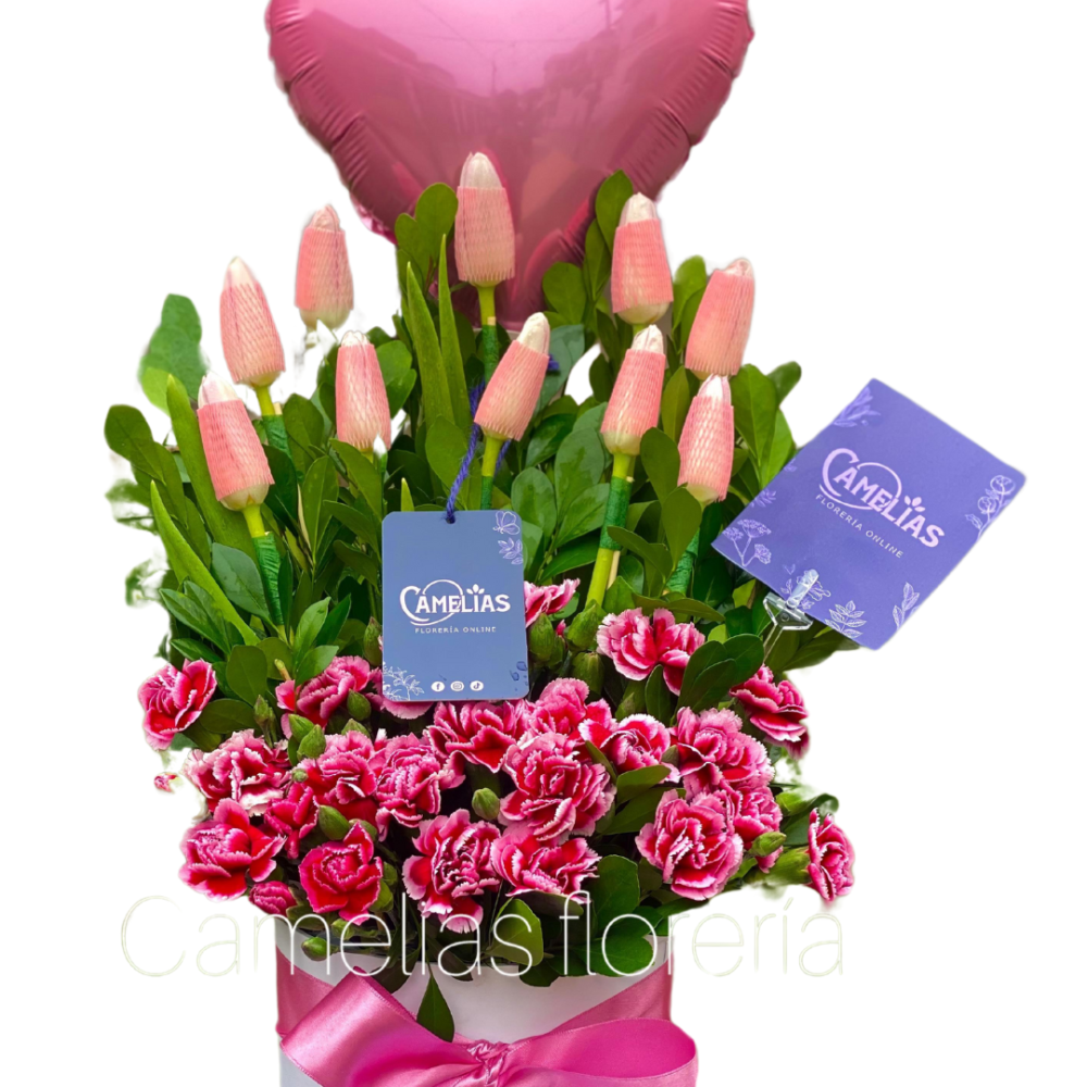 🌷 Box de 10 Tulipanes "Oslo"