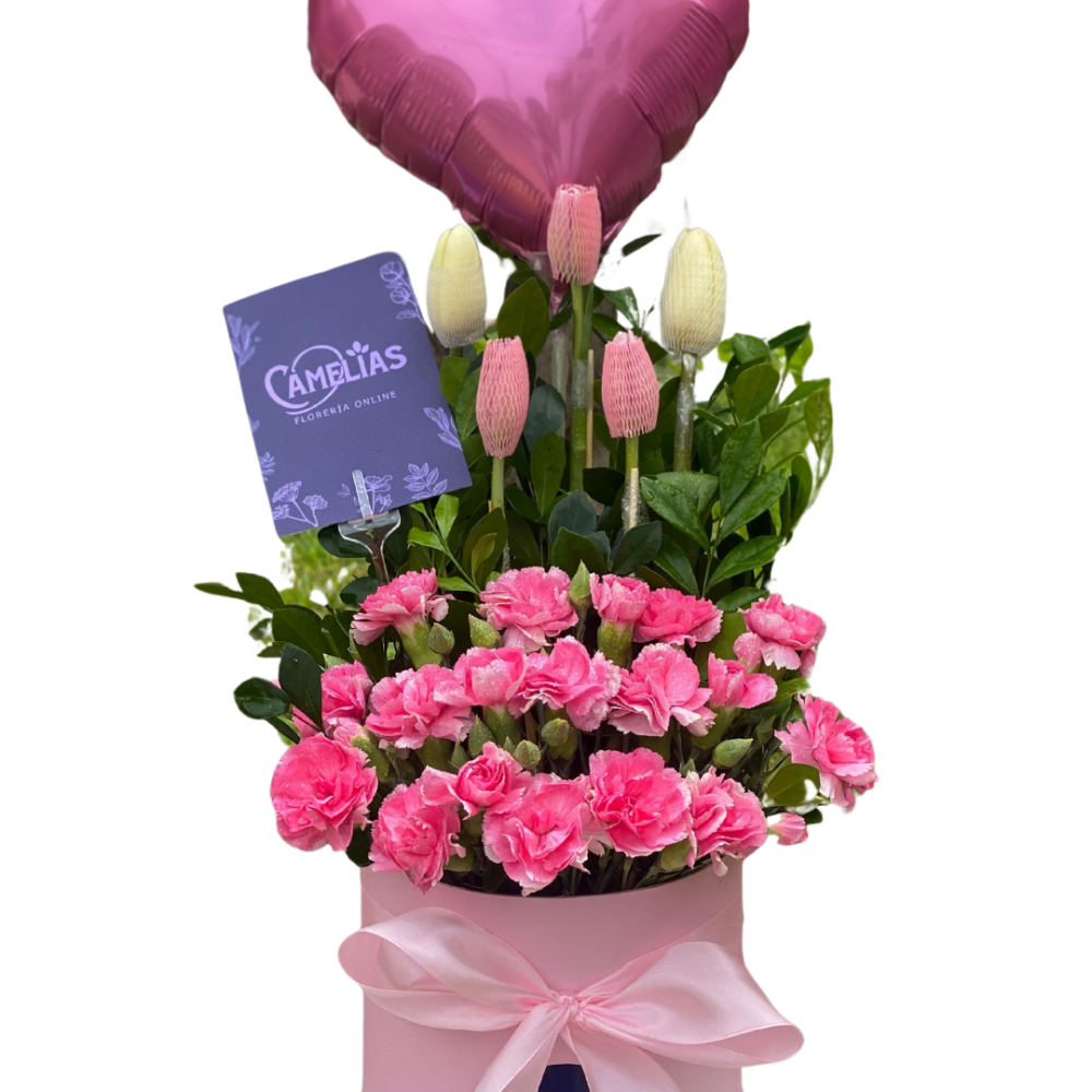 🌷 Box de 5 Tulipanes "Yaren"