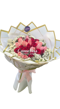 🌹 Ramo de 24 Rosas (2 Tonalidades) "Victoria"
