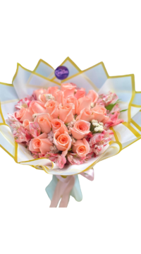 🌸 Ramo de 24 Rosas Rosado Bebé "Ankara"