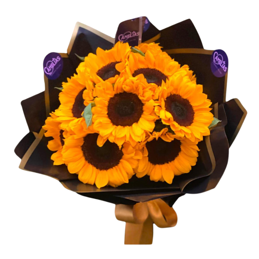 Ramo de 10 girasoles "Belice"