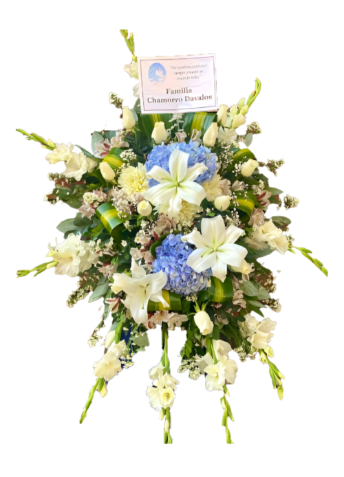 Manto Fúnebre para Ataúd II