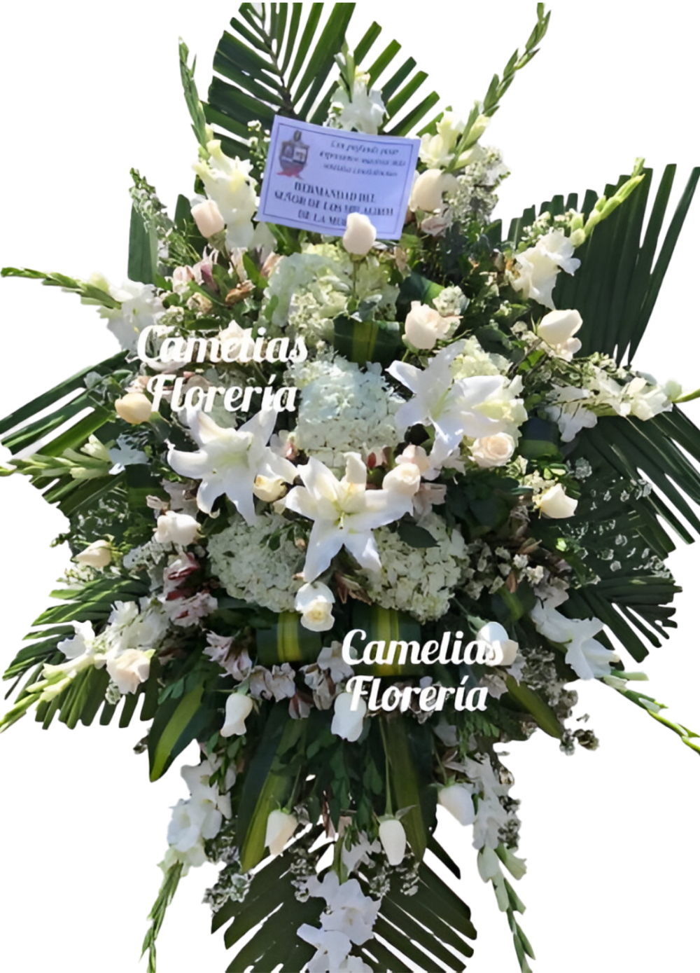 Trípode Fúnebre Especial III