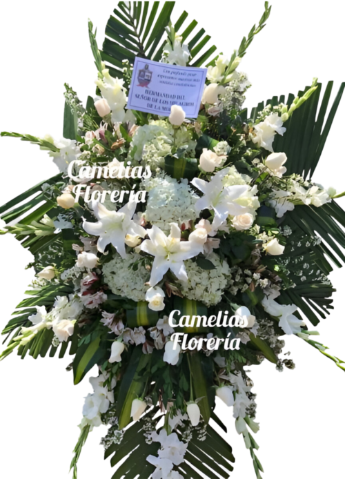 Trípode Fúnebre Especial III