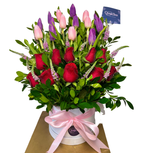 🌷 Box de 10 Tulipanes con rosas rojas "YAREN"