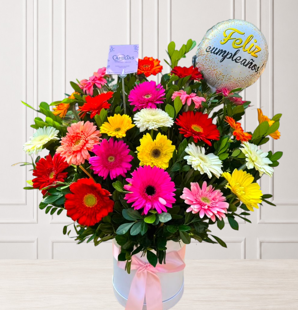 🌸 Box de 24 Gerberas Frescas "Suva"