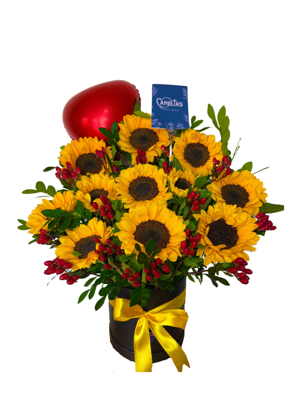 🌻 Box de 10 Girasoles "LUX"