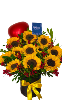 🌻 Box de 10 Girasoles "LUX"