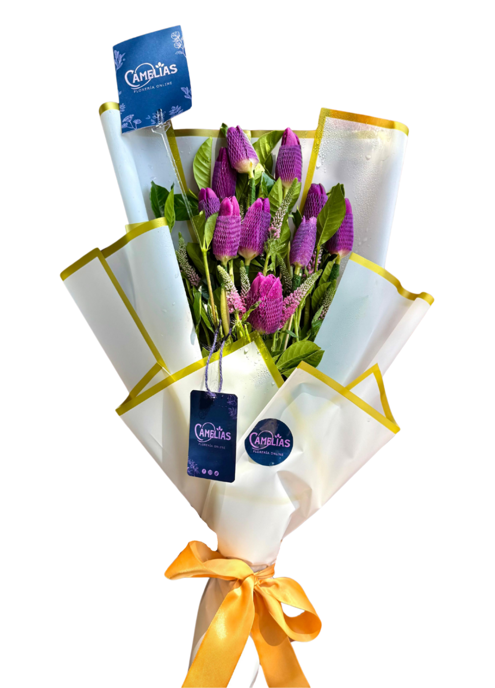 🌷Ramo de 10 Tulipanes Lilas "ROMA"