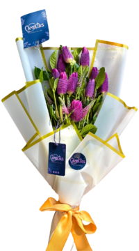 🌷Ramo de 10 Tulipanes Lilas "ROMA"