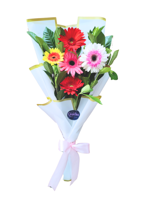 Ramo de 5 gerberas "Lisboa"