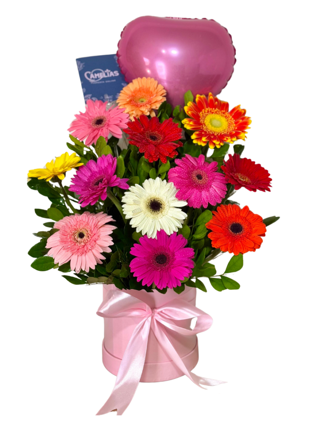 🌸 Box de 12 Gerberas Frescas "Managua"