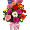 🌸 Box de 12 Gerberas Frescas "Managua"