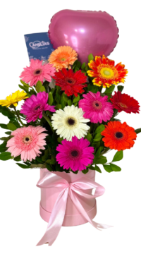 🌸 Box de 12 Gerberas Frescas "Managua"