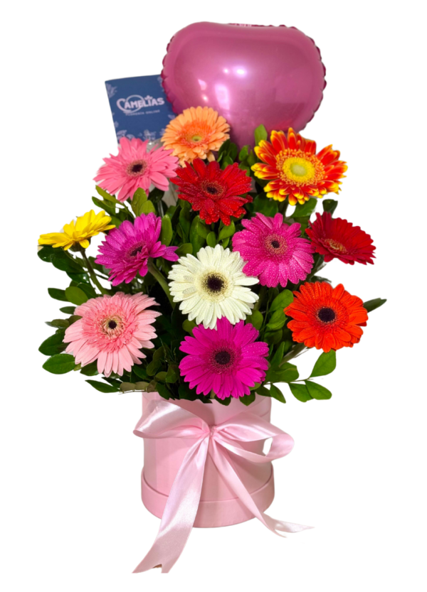 🌸 Box de 12 Gerberas Frescas "Managua"