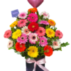 🌸 Box de 24 Gerberas Frescas "Suva"