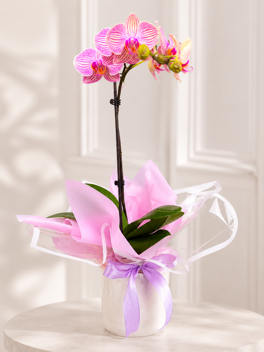 Flor de Orquídea