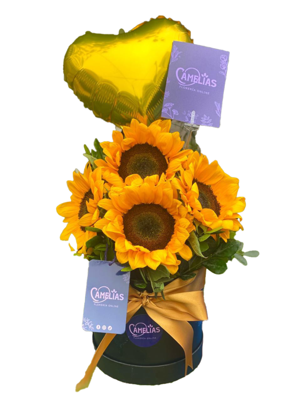 🌻 Box de 5 Girasoles "Lauren"