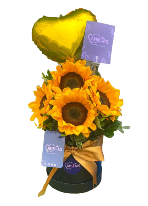 🌻 Box de 5 Girasoles "Lauren"