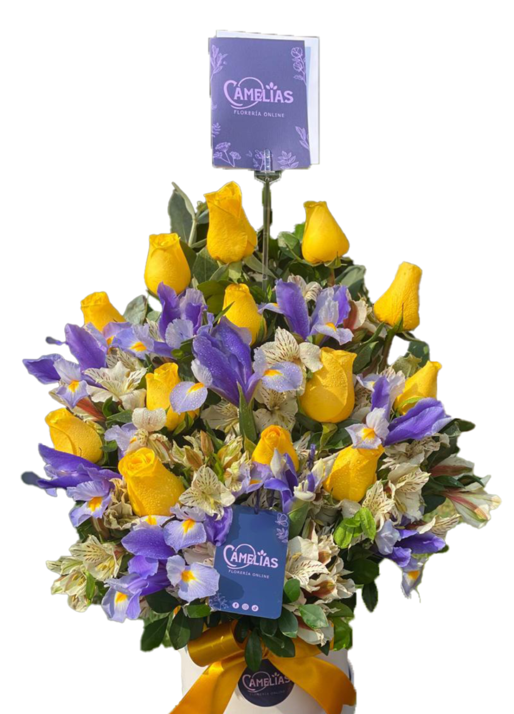 Box de 12 rosas amarillas "Cores"