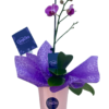 Flor de Orquídea
