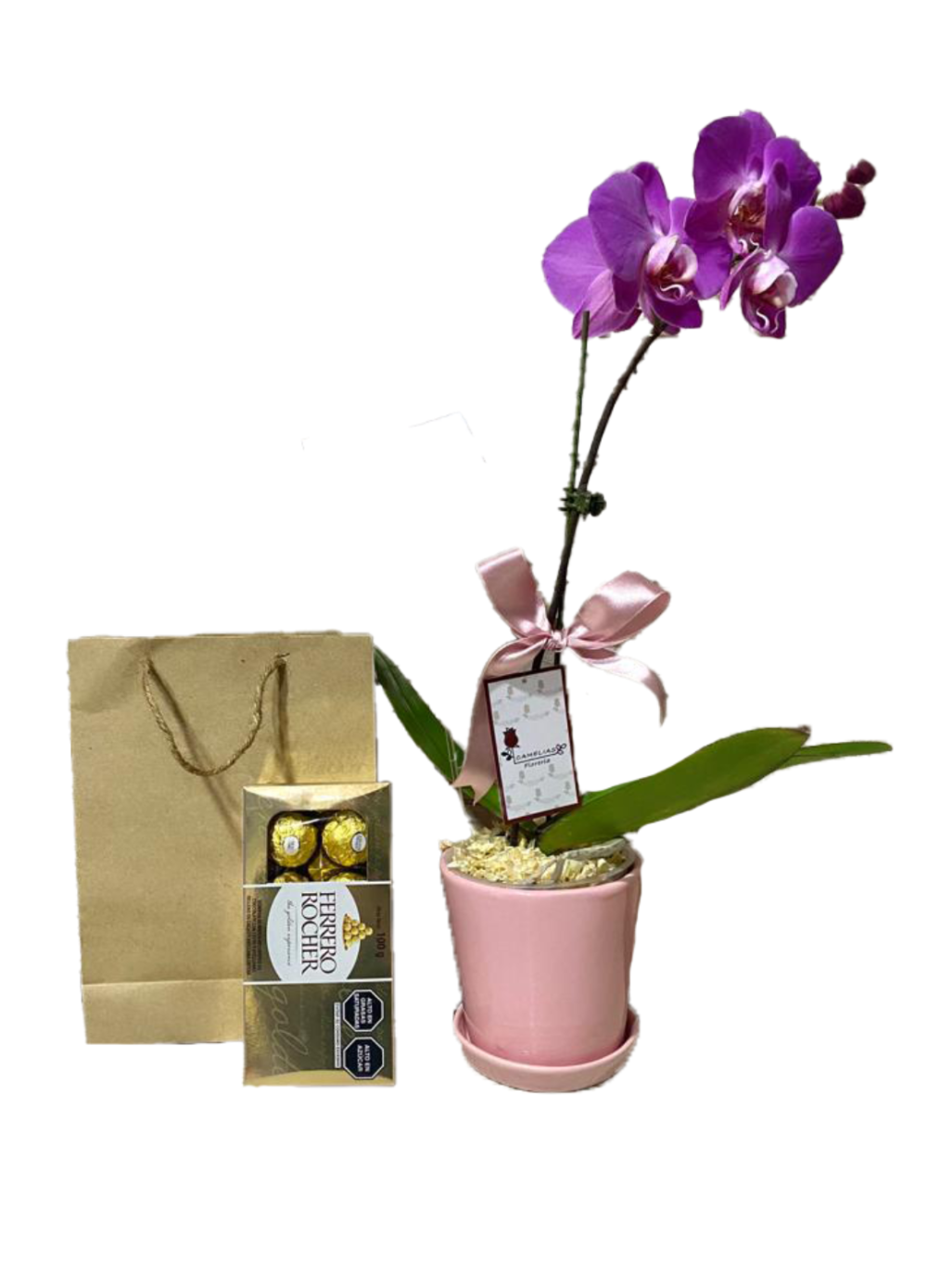Orquídea + chocolate "Phalaenopsis lila"