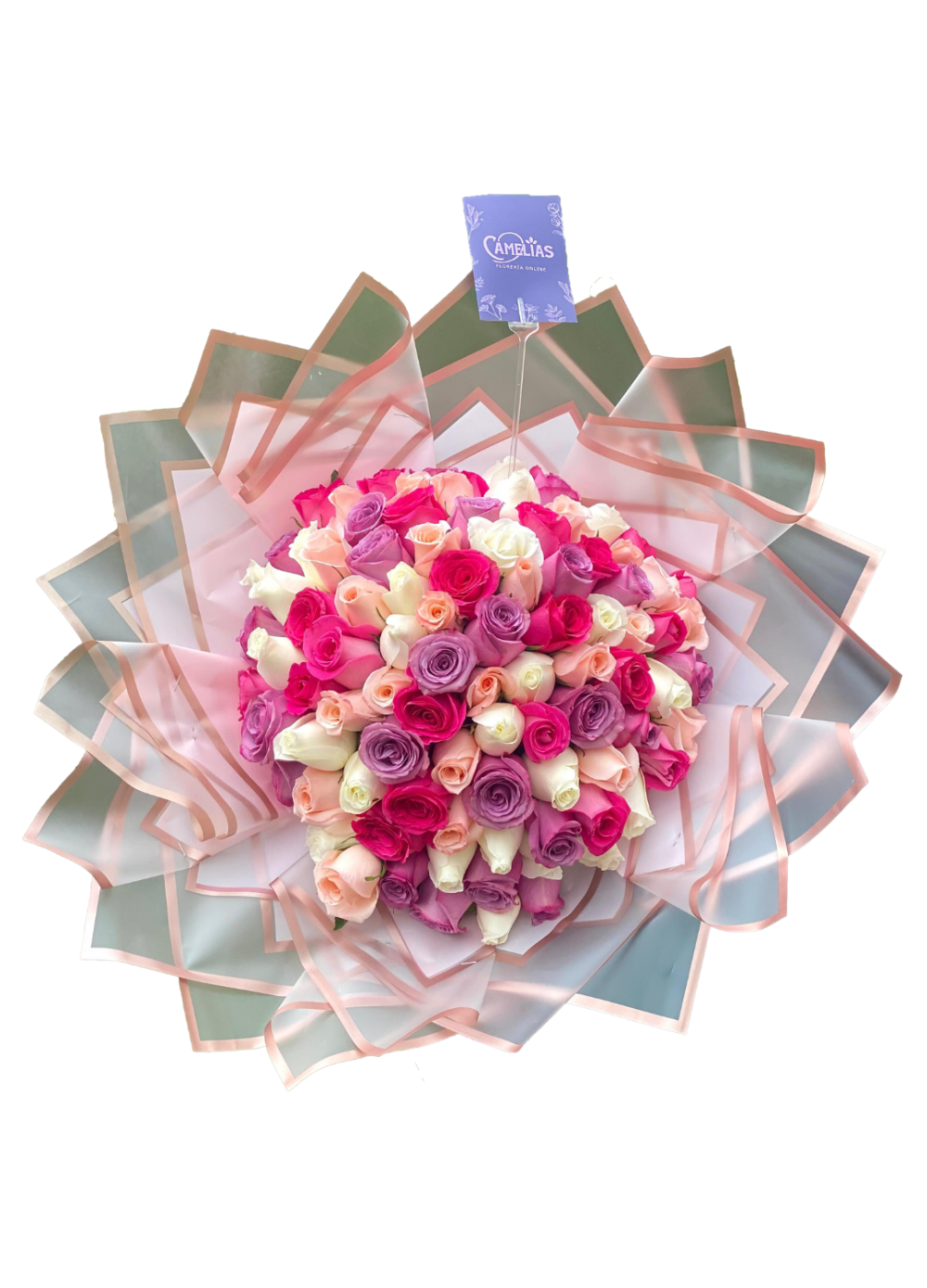 💗 Ramo buchón de 100 rosas "Nassau"