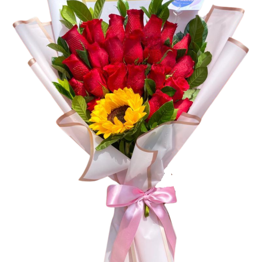 🌹 Ramo de 24 rosas rojas