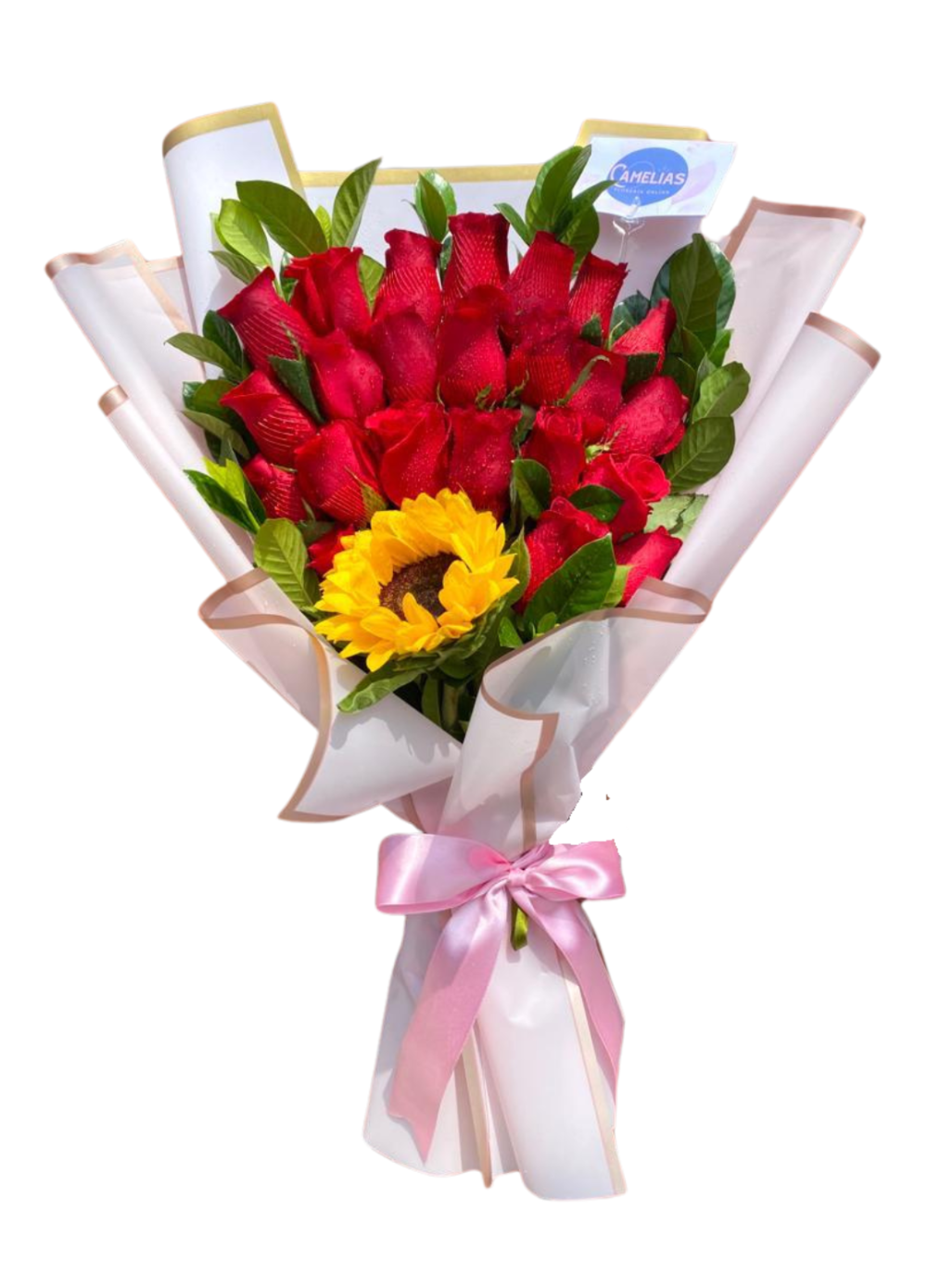 🌹 Ramo de 24 rosas rojas