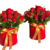 🌷 Box de 18 Rosas rojas