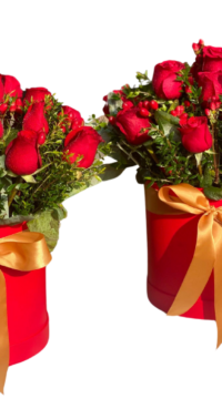 🌷 Box de 18 Rosas rojas