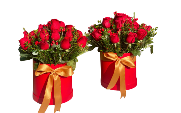 🌷 Box de 18 Rosas rojas