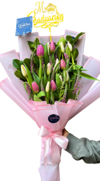 Ramo de 15 tulipanes rosados y fucsias + Veronica rosada
