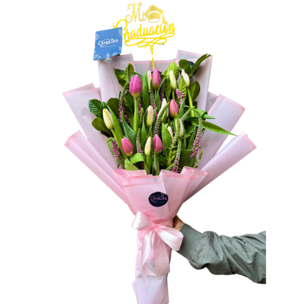 Ramo de 15 tulipanes rosados y fucsias + Veronica rosada