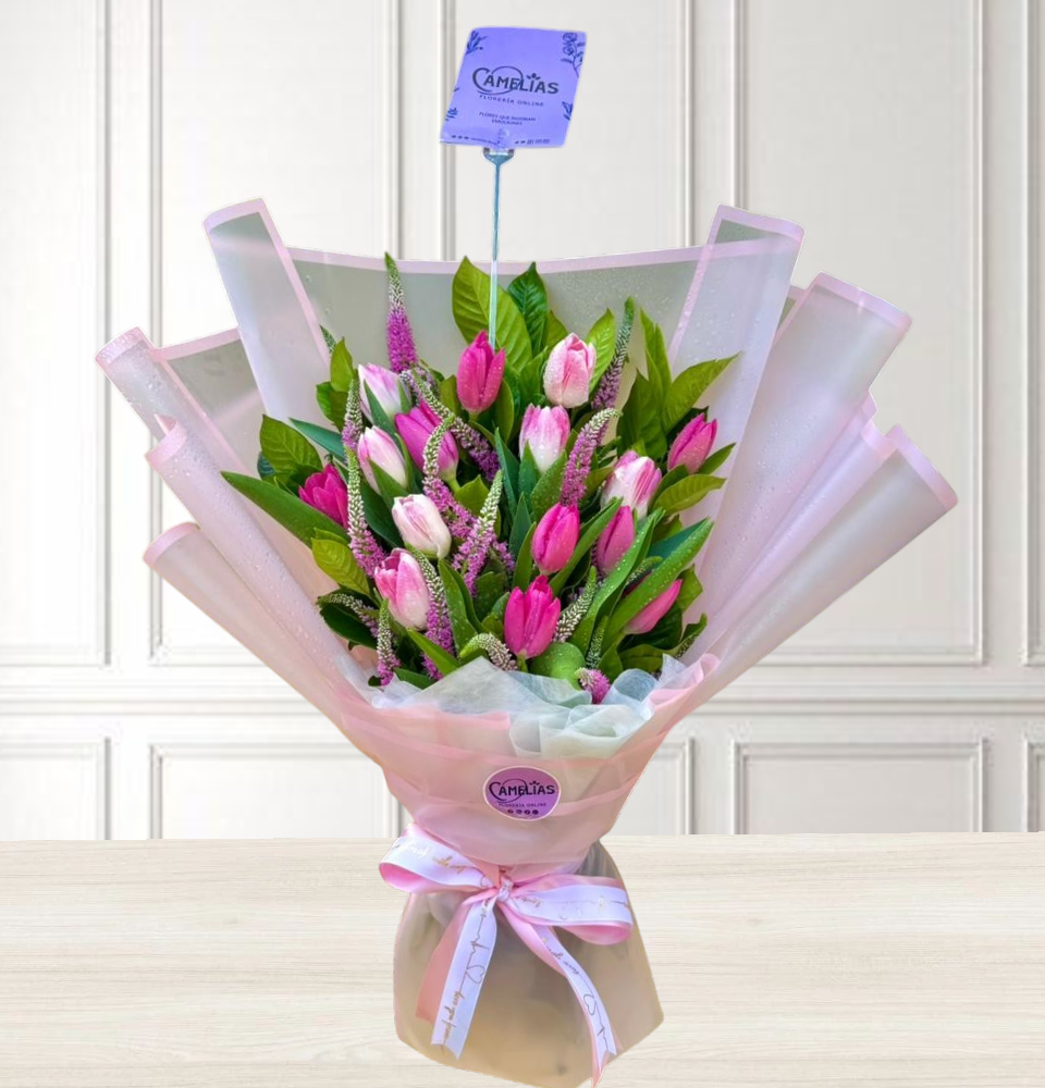 Ramo de 15 tulipanes rosados y fucsias + Veronica rosada