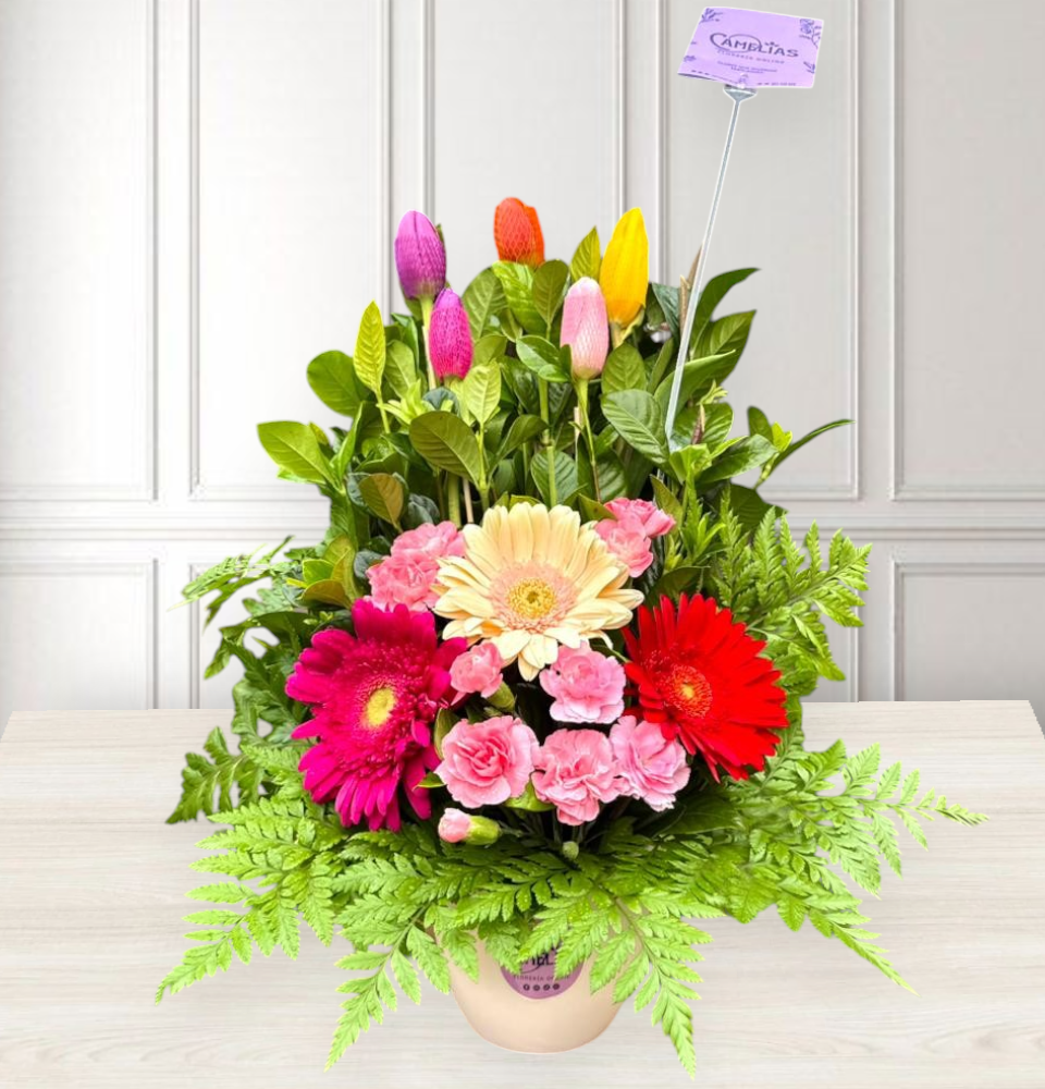 Arreglo de tulipanes y gerberas