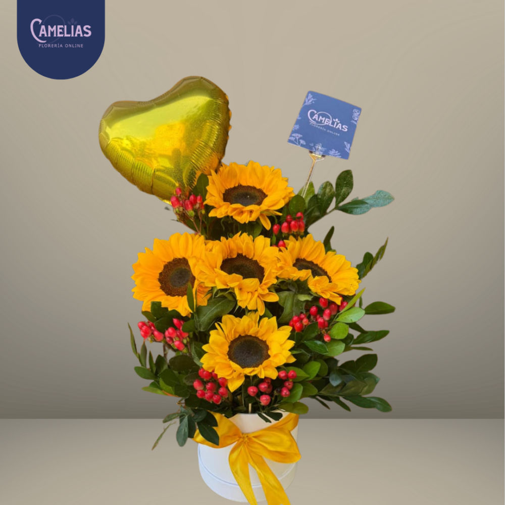 Box de 5 Girasoles