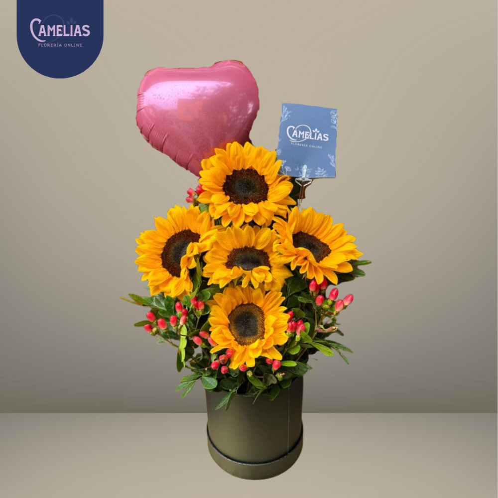 Box de 5 Girasoles - Imagen 2