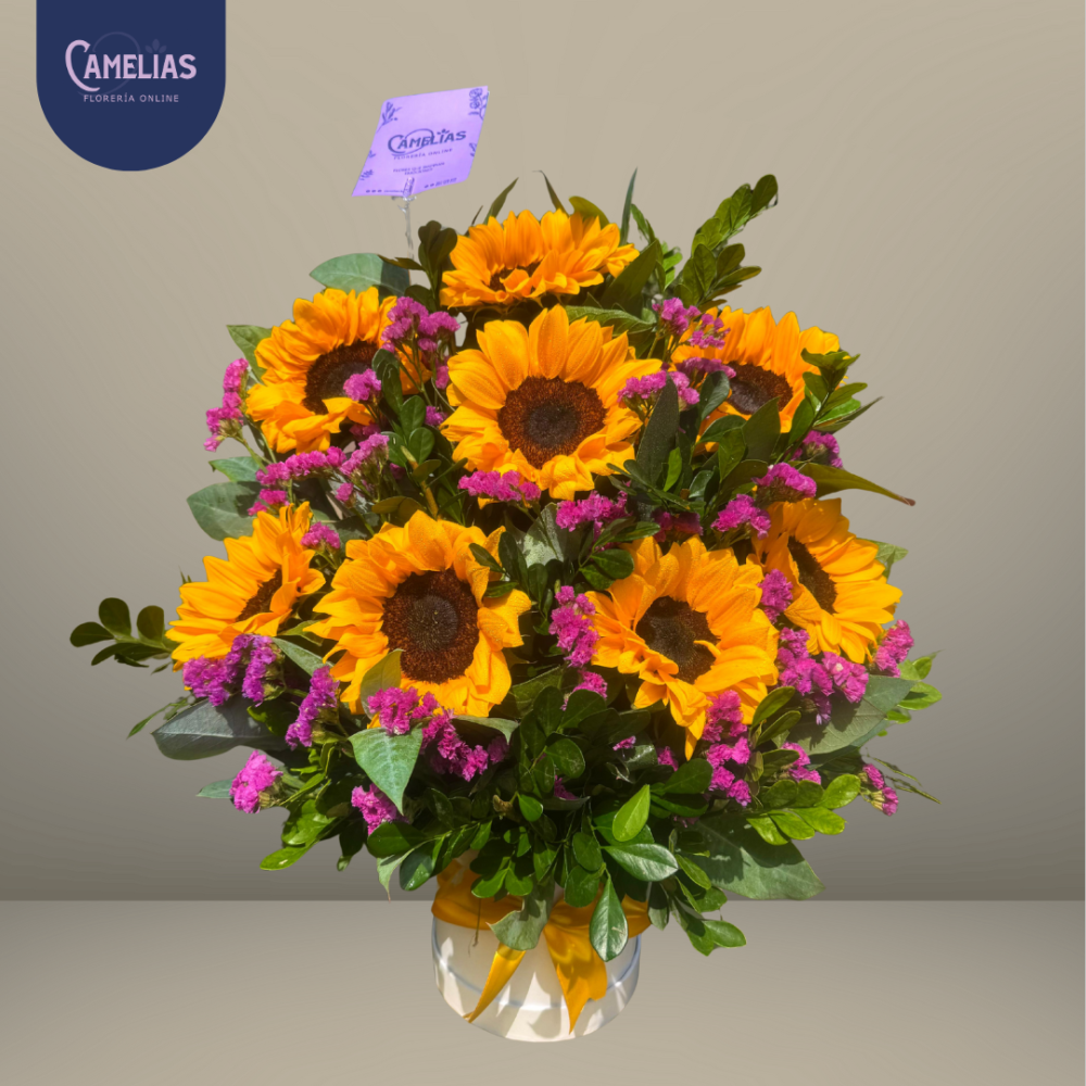 Box de girasoles “Sarita”