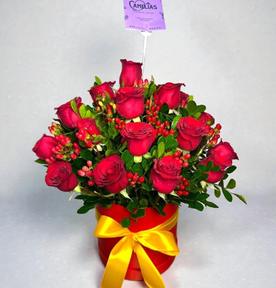 🌷 Box de 18 Rosas rojas
