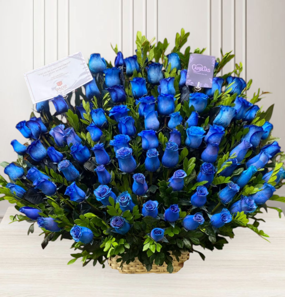 Canasta de 70 rosas azules "Camilo" 💙