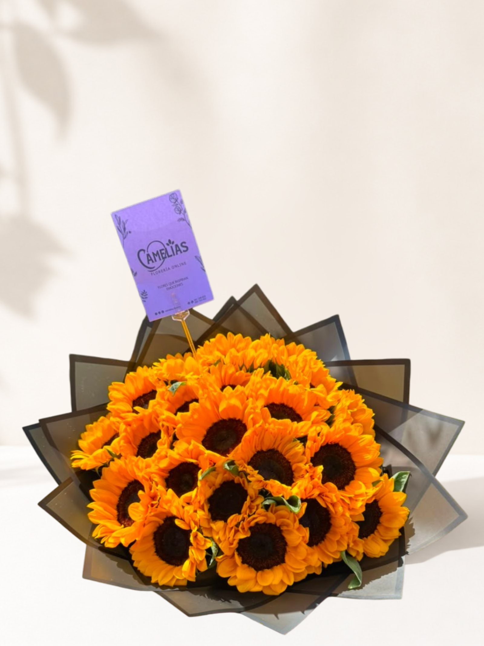 Ramo buchon de 20 girasoles “Bris”